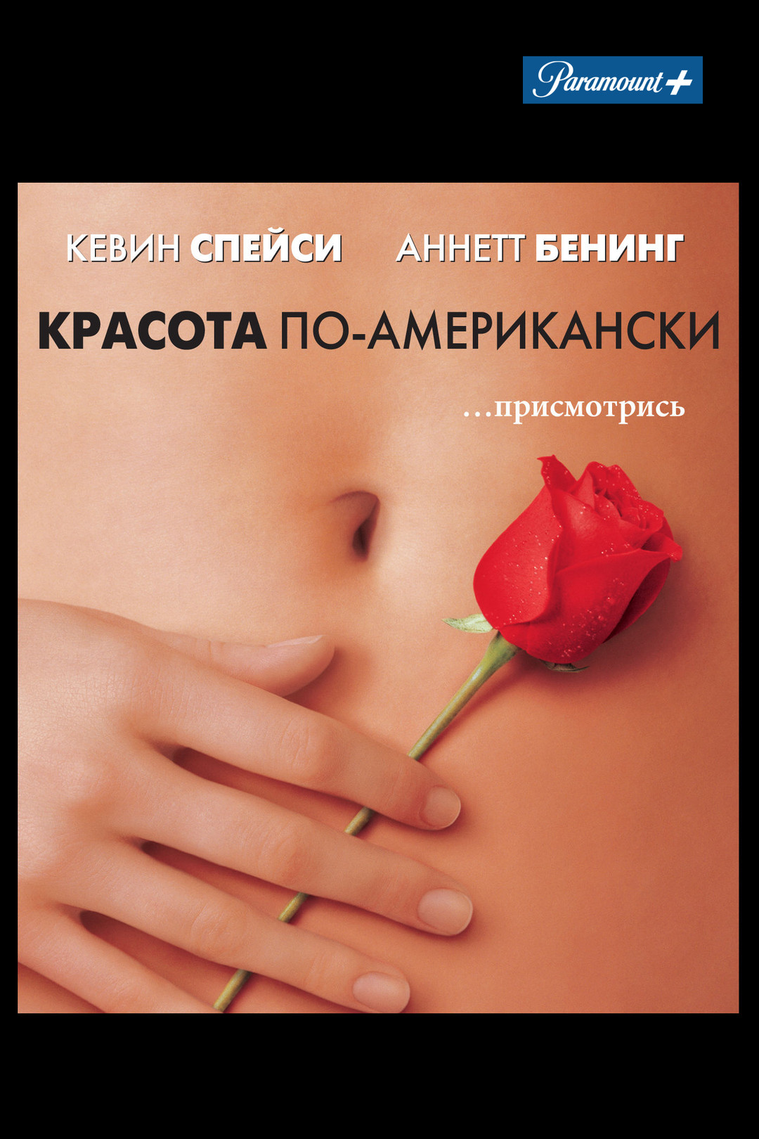 Красота по-американски (фильм, 1999) - отзывы и рецензии