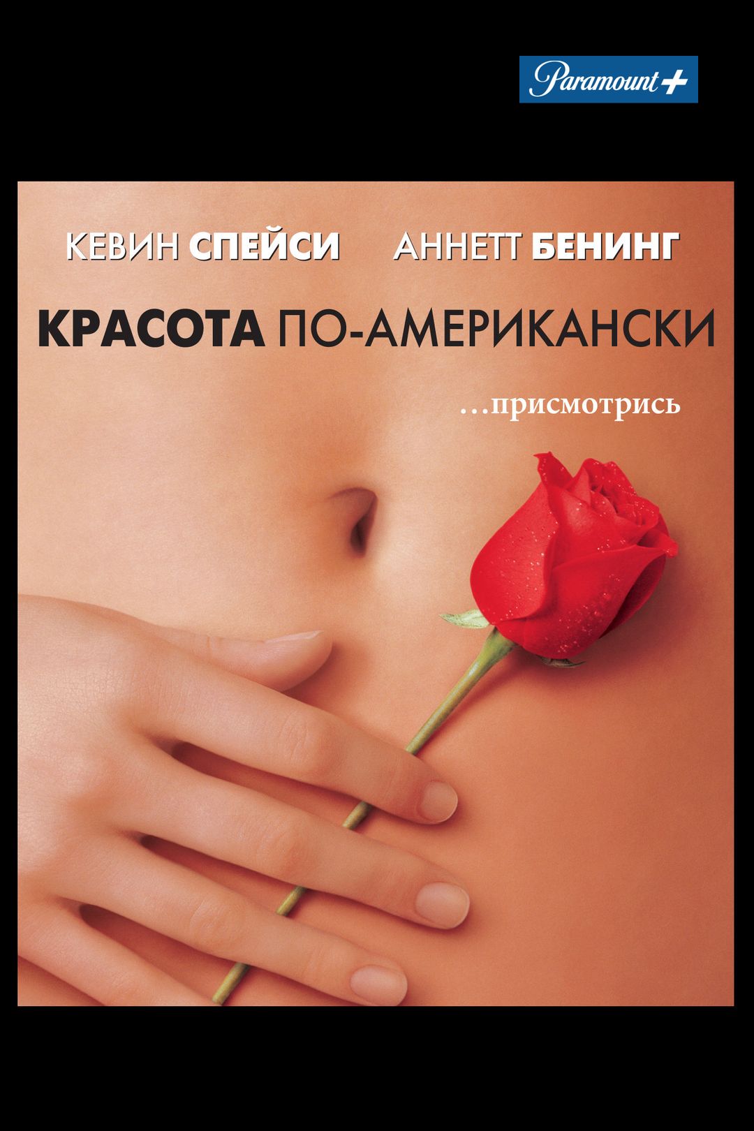 Красота по-американски (фильм, 1999) смотреть онлайн в хорошем качестве HD  (720) / Full HD (1080)