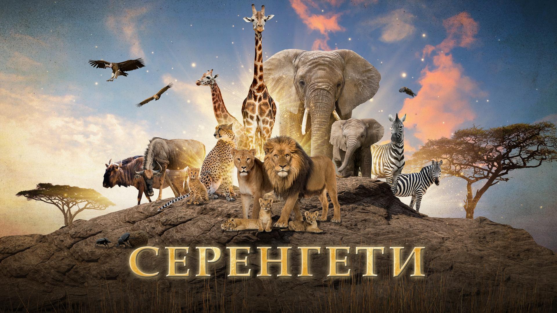 Серенгети
