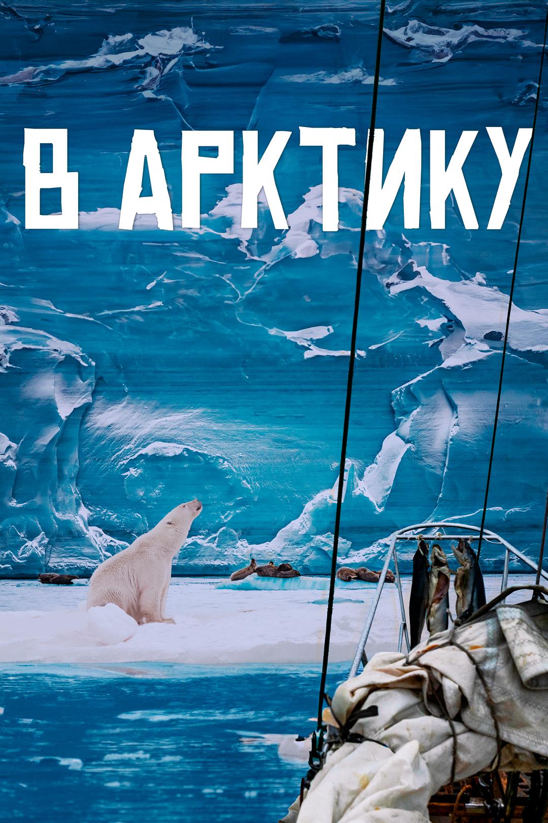 В Арктику