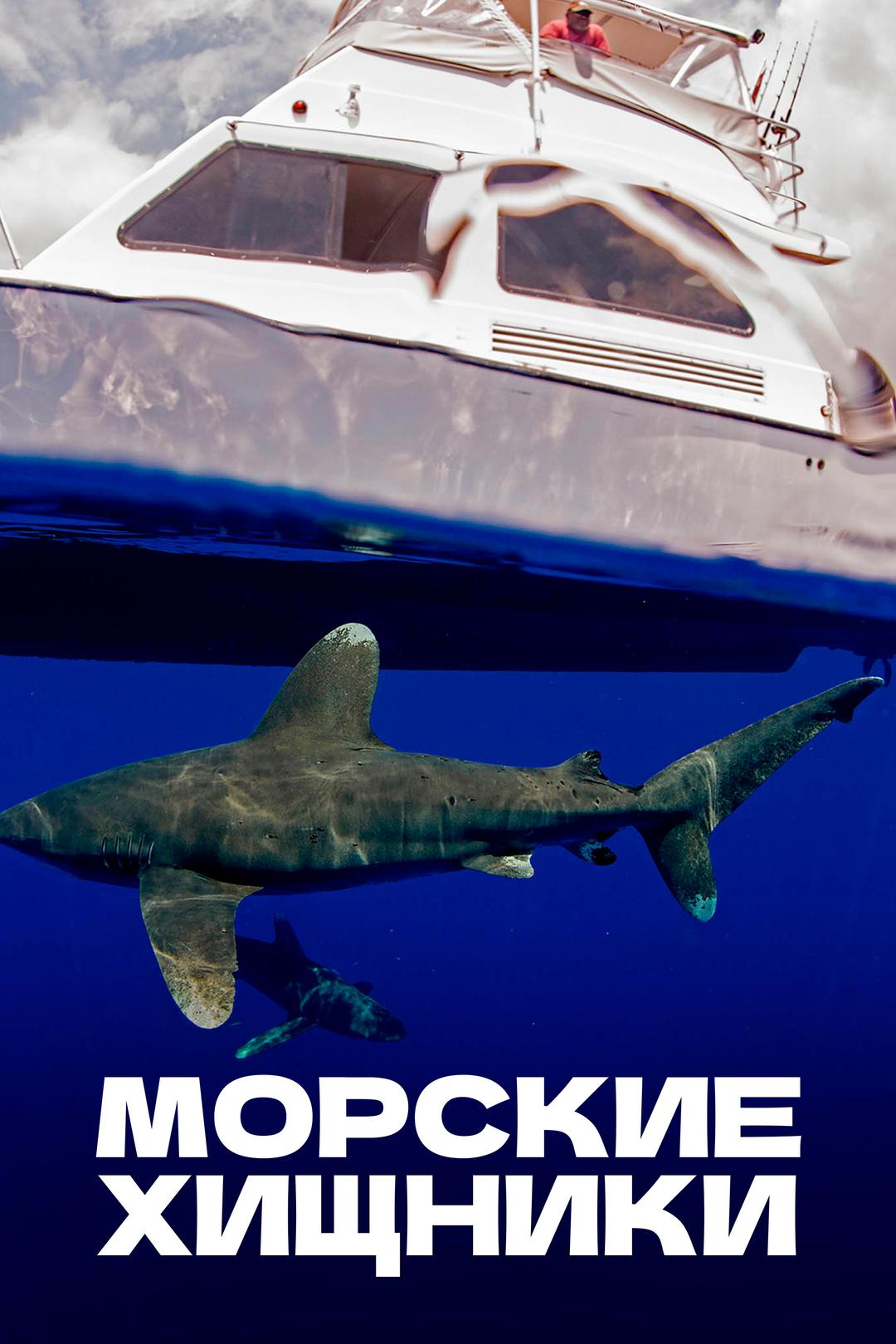 Морские хищники