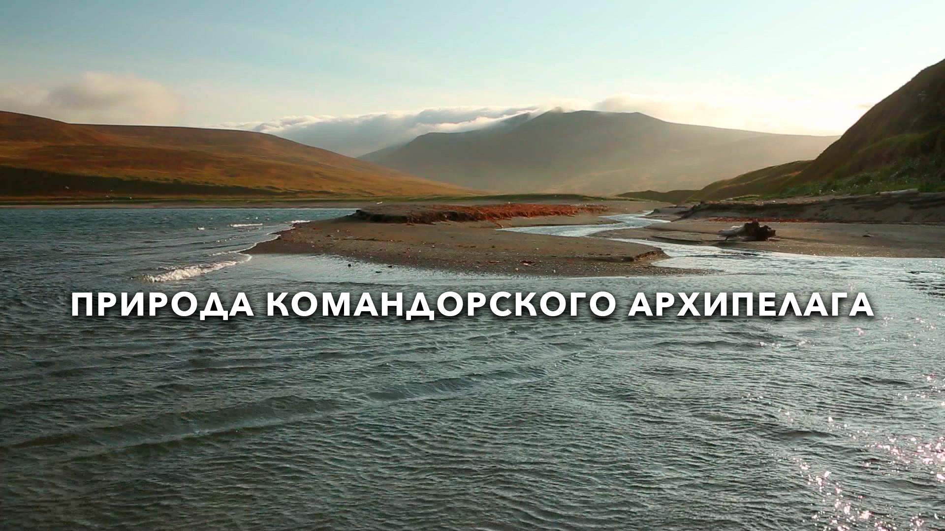 Природа Командорского архипелага