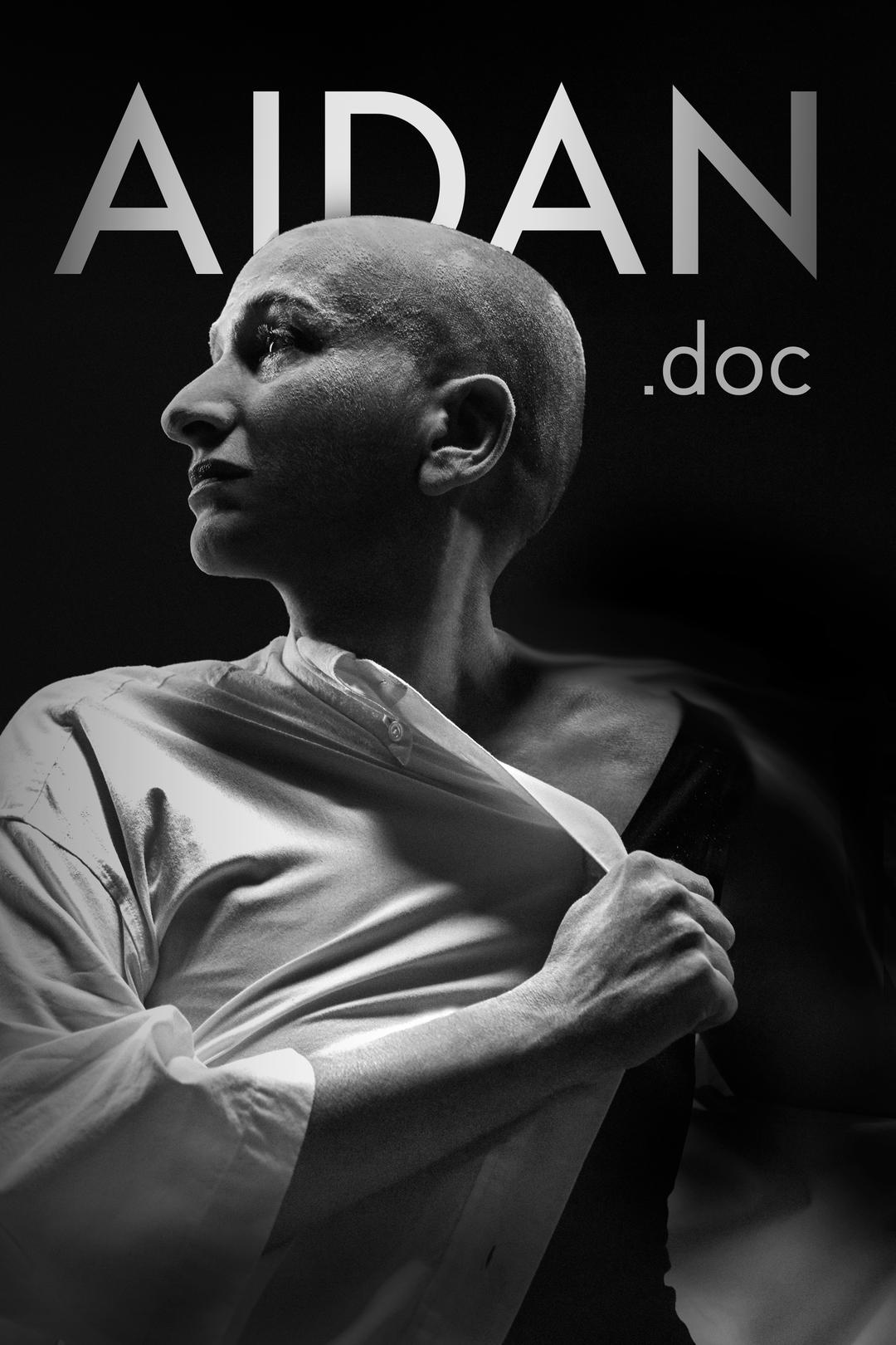 AIDAN.doc