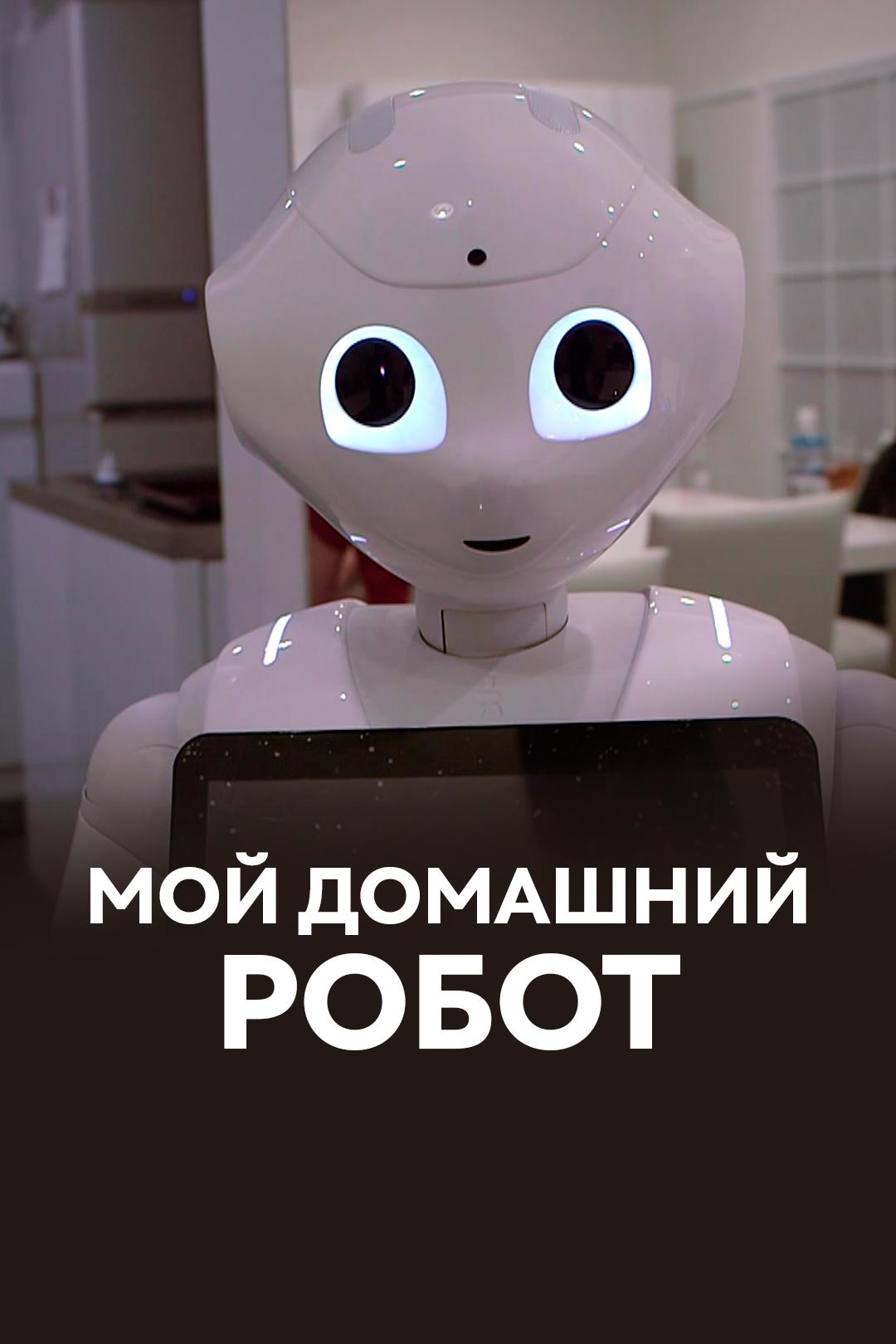 Мой домашний робот