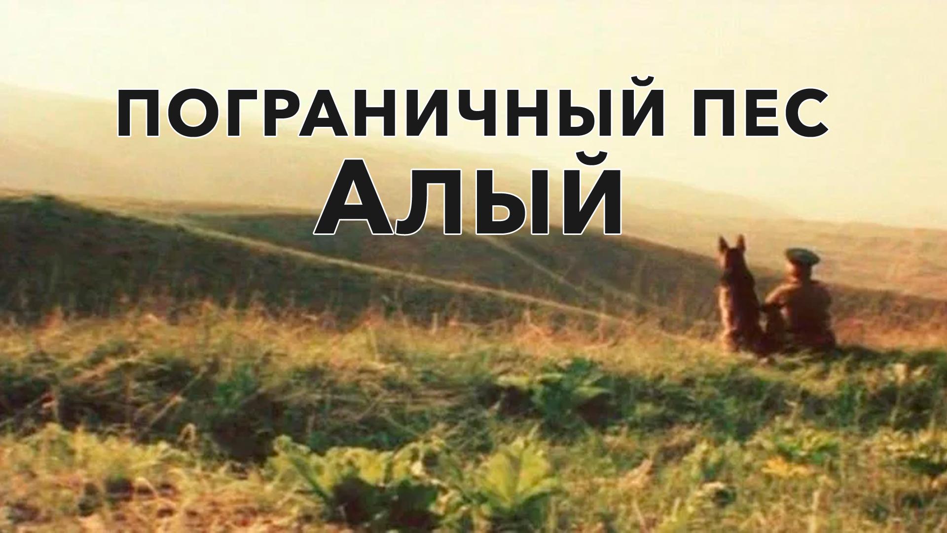 Пограничный пес Алый