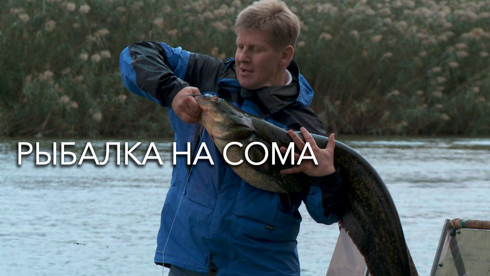 Рыбалка на сома