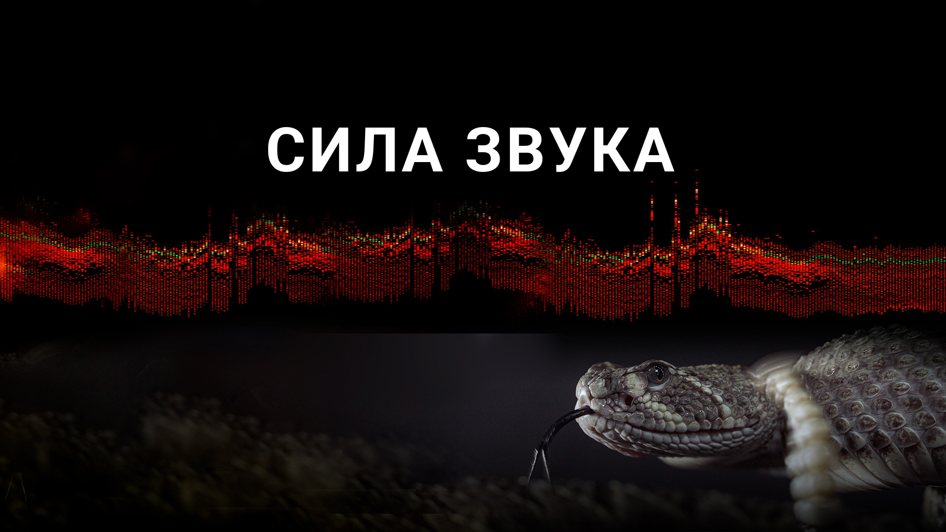 От чего зависит интенсивность звука. Понятие звука. Различаем звуки. Звуки усилий. Динамика сила звука.