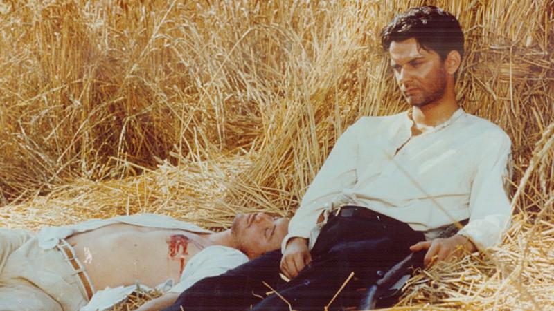 Ночь Святого Лоренцо