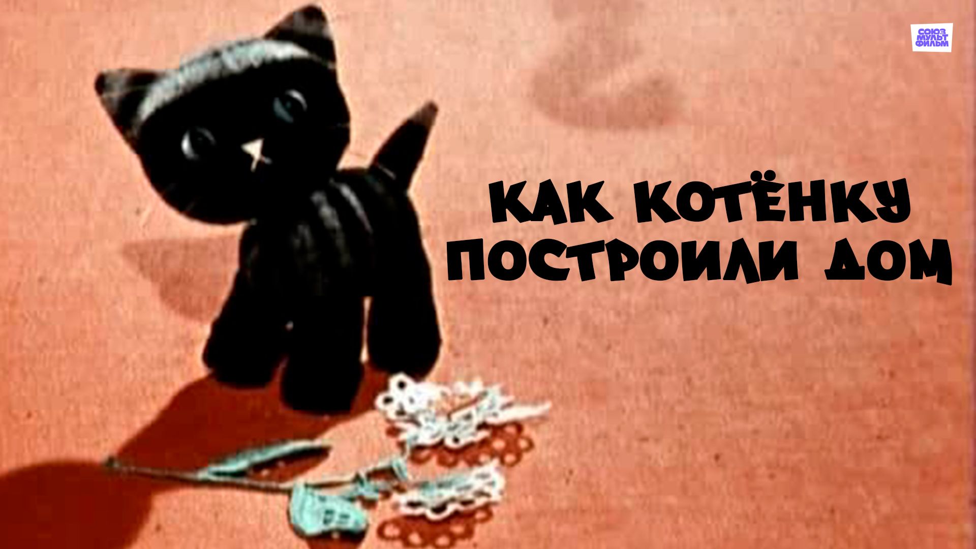 Как котёнку построили дом