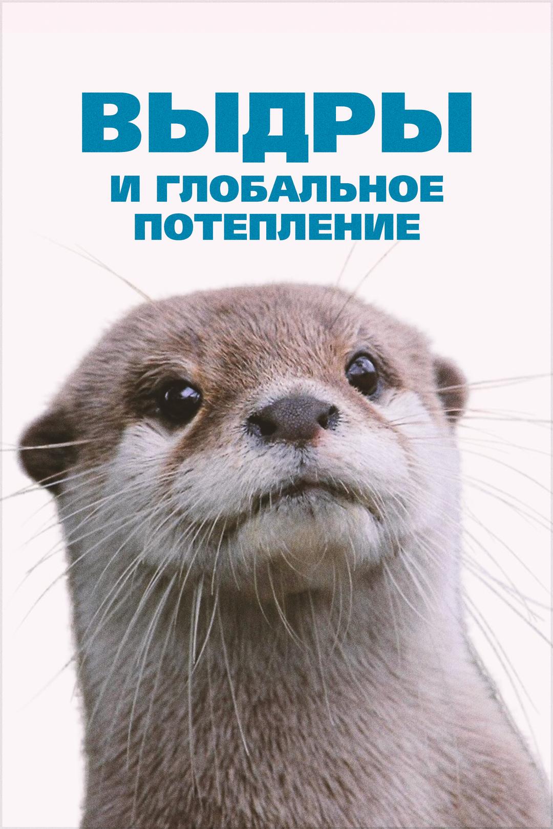 Выдры и глобальное потепление