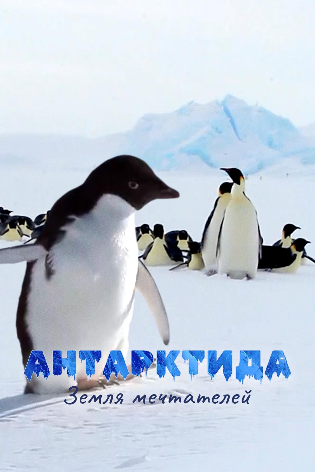 Антарктида: Земля мечтателей