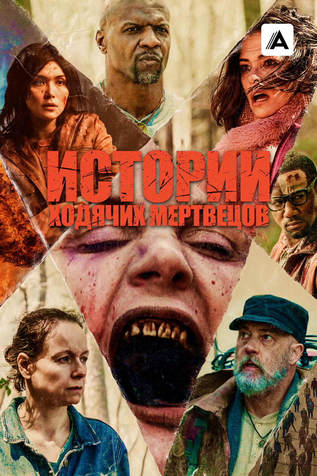 Ходячие мертвецы (сериал, 2010-2021) смотреть онлайн в хорошем качестве HD  (720) / Full HD (1080)