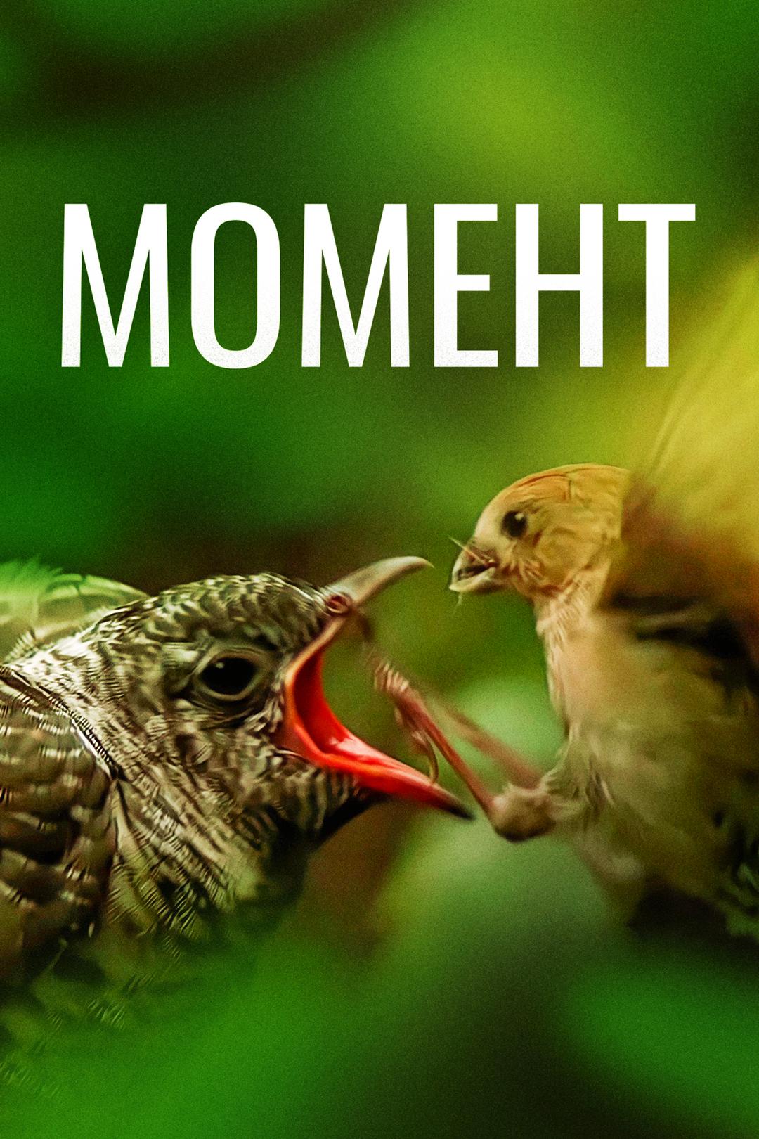 Момент