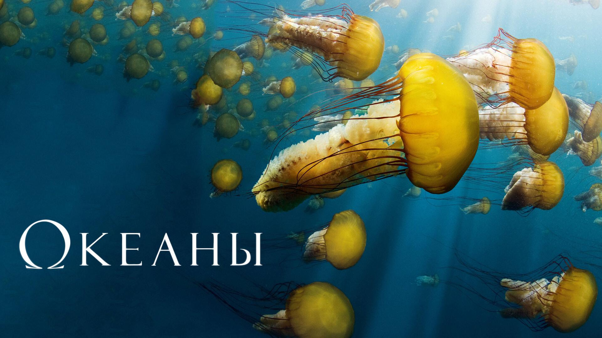 Океаны