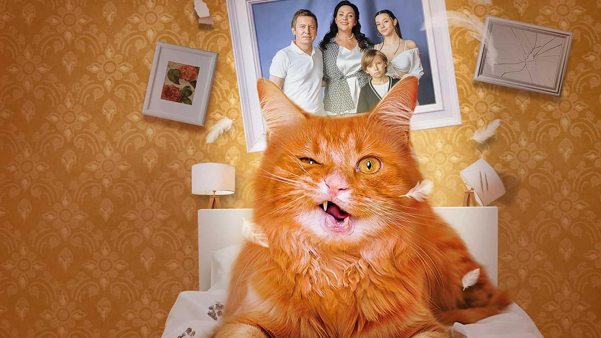 Котострофа