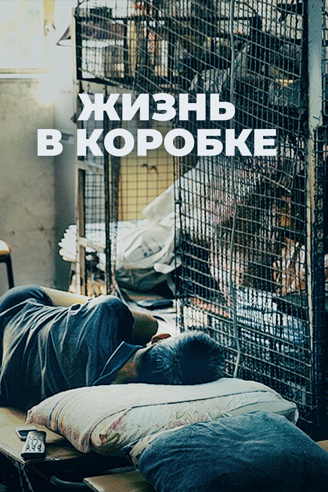Жизнь в коробке
