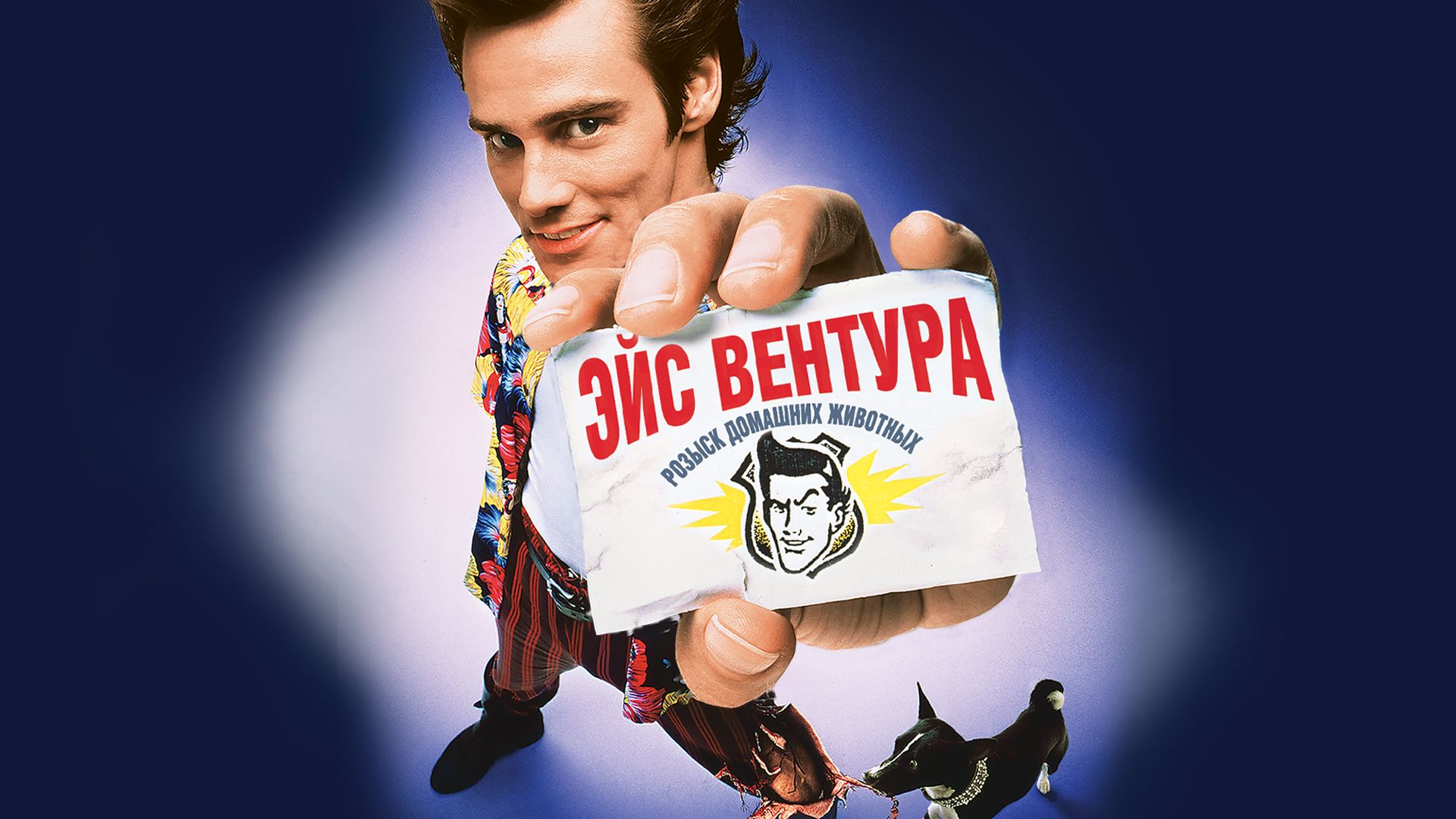 Контактісіз порно видеолар