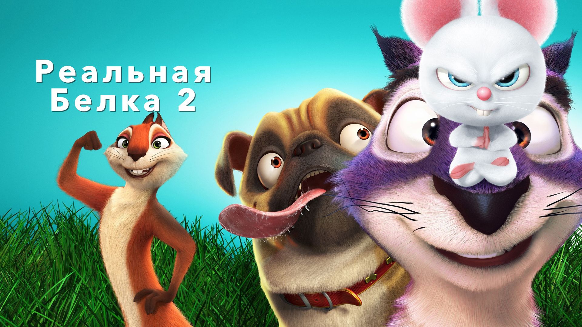 Реальная белка 2