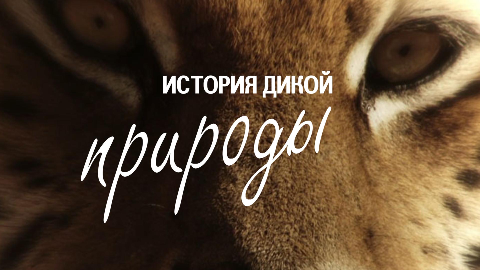 История дикой природы