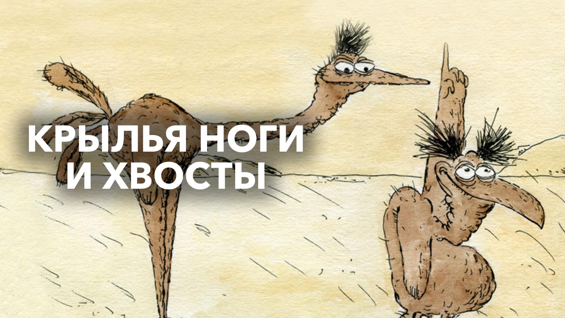 Крылья, ноги и хвосты