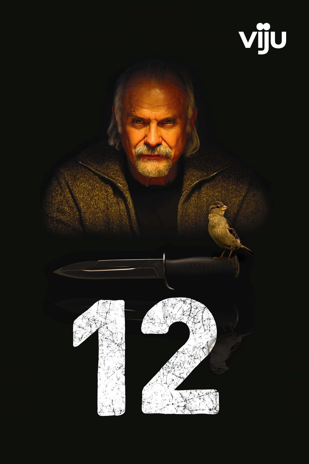 12 (фильм, 2007) смотреть онлайн в хорошем качестве HD (720) / Full HD  (1080)