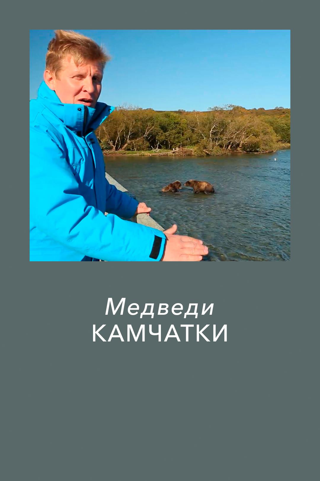 Медведи Камчатки