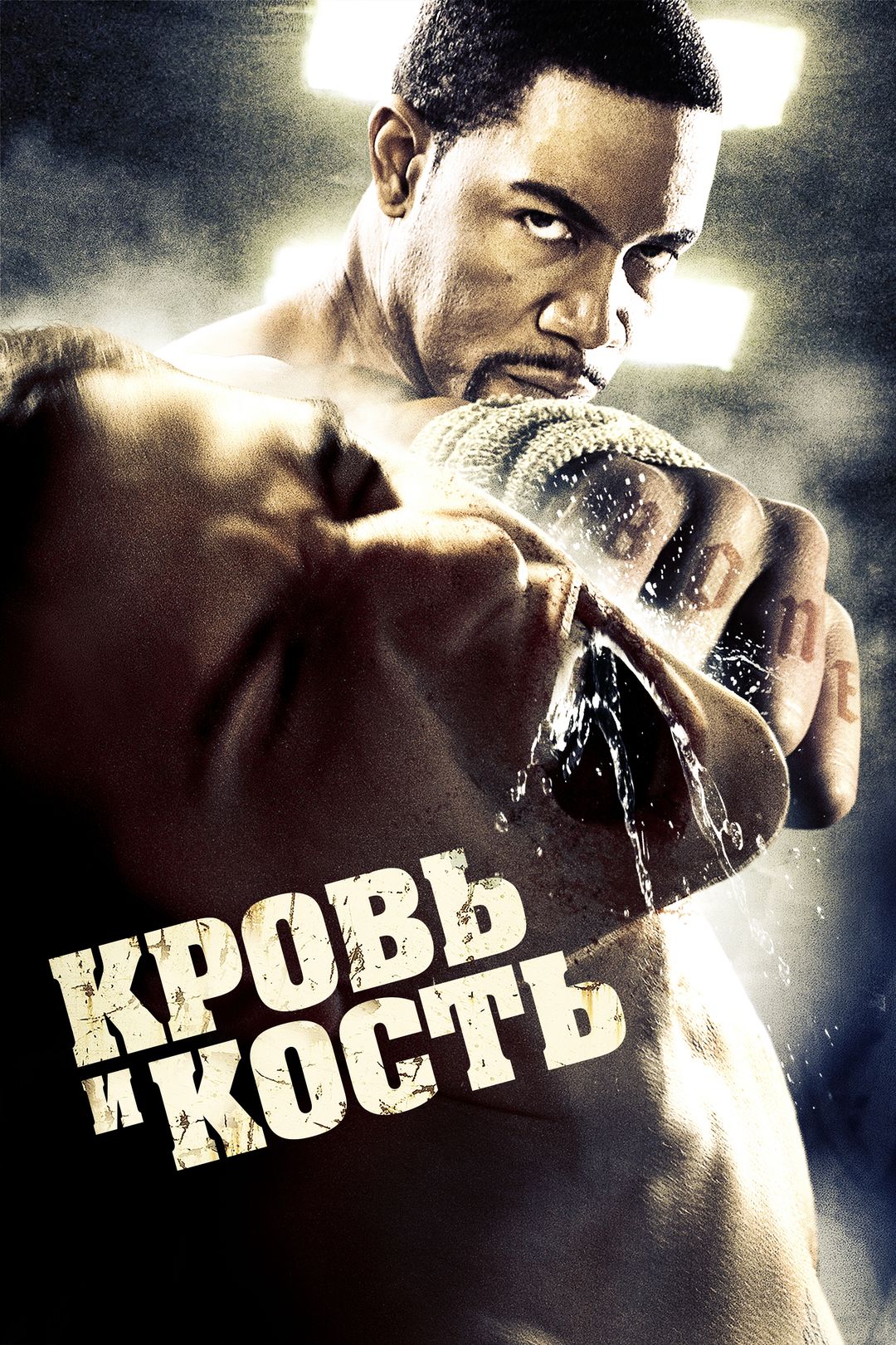 Кровь и кость (фильм, 2009) смотреть онлайн в хорошем качестве HD (720) /  Full HD (1080)