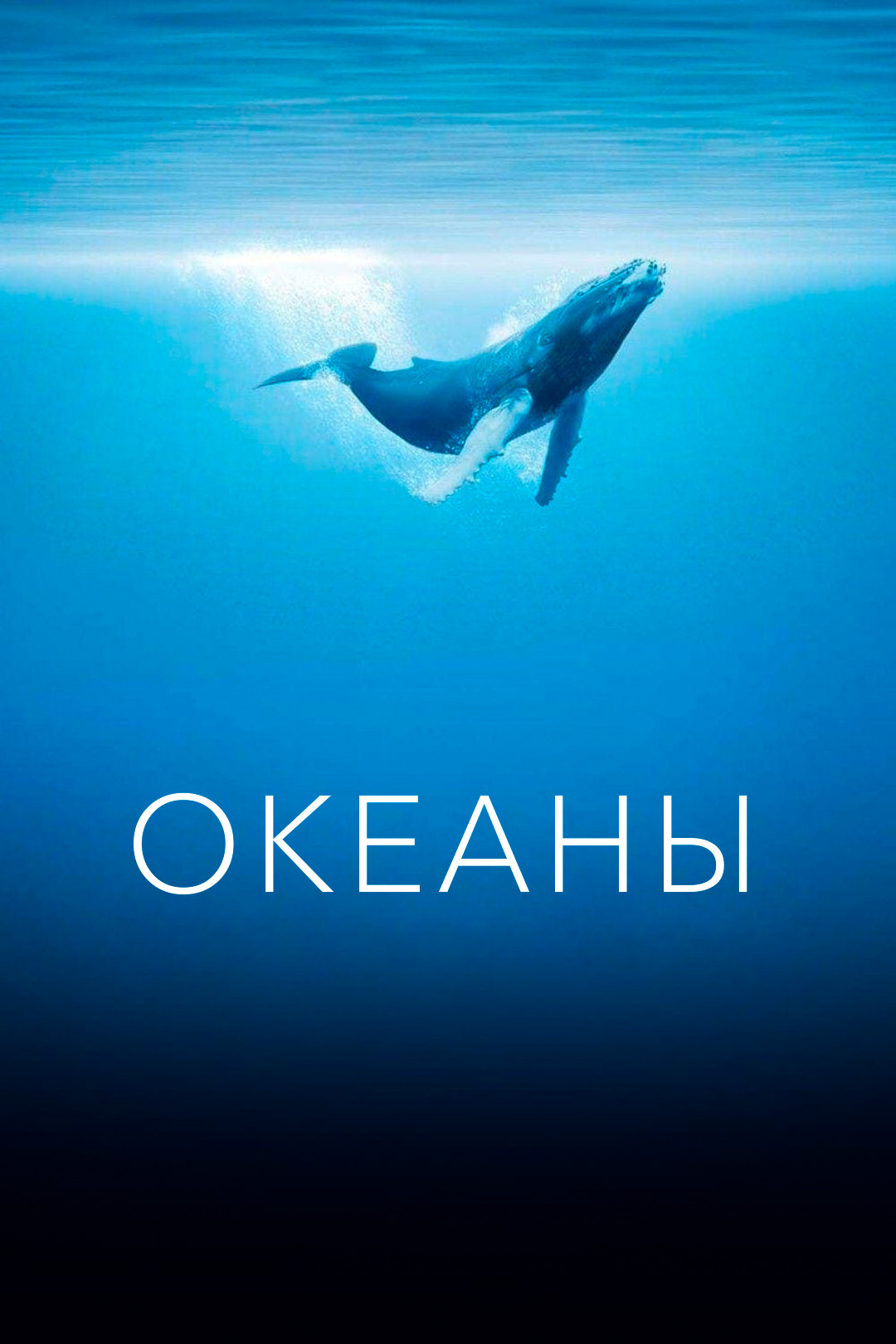 Океаны (фильм, 2009) смотреть онлайн в хорошем качестве HD (720) / Full HD  (1080)