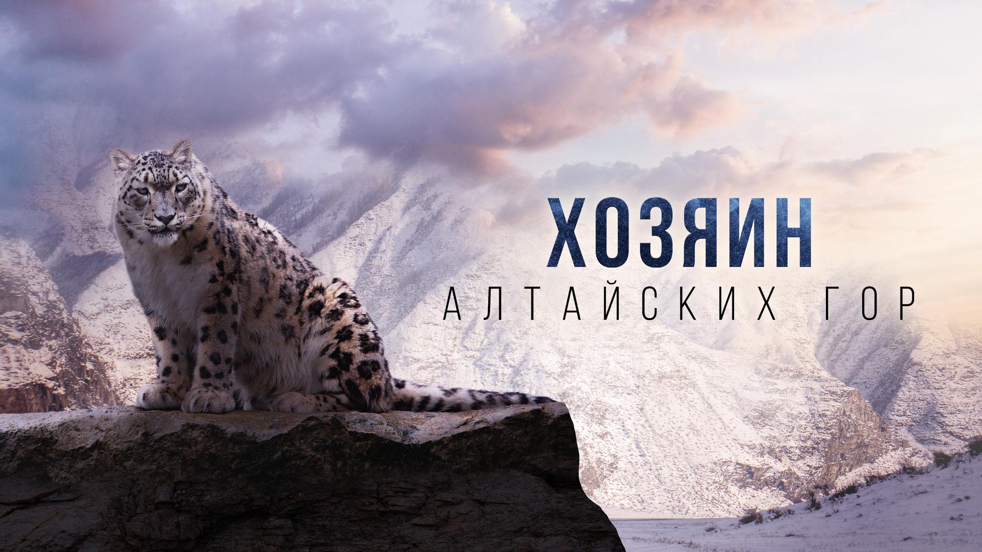 Хозяин Алтайских гор