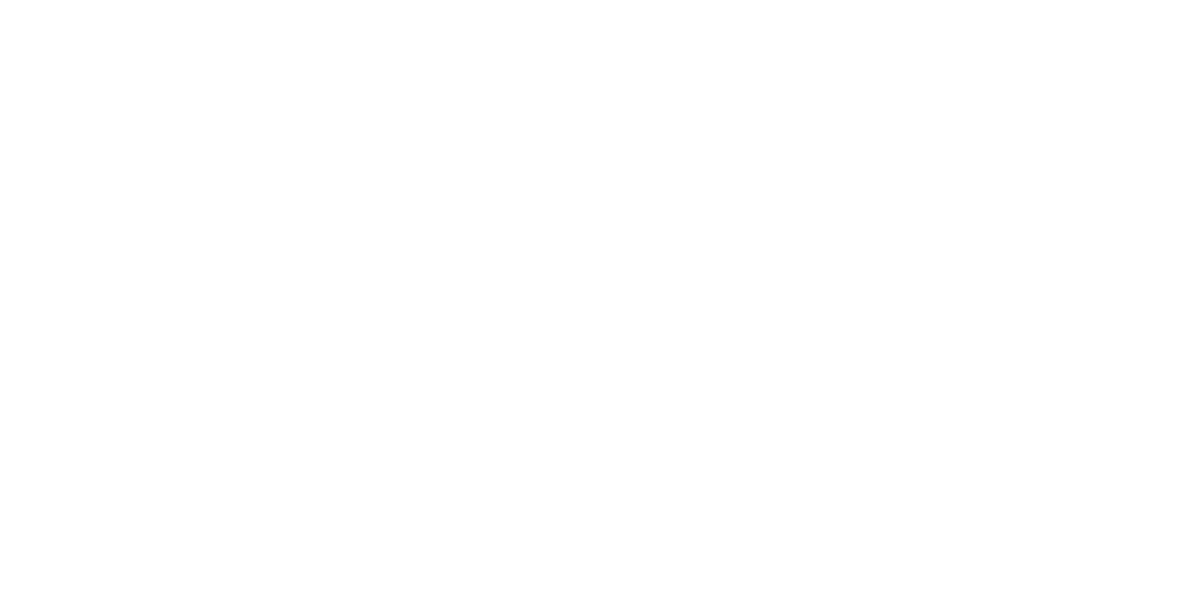 Институт брака в романе «Анна Каренина» [1]