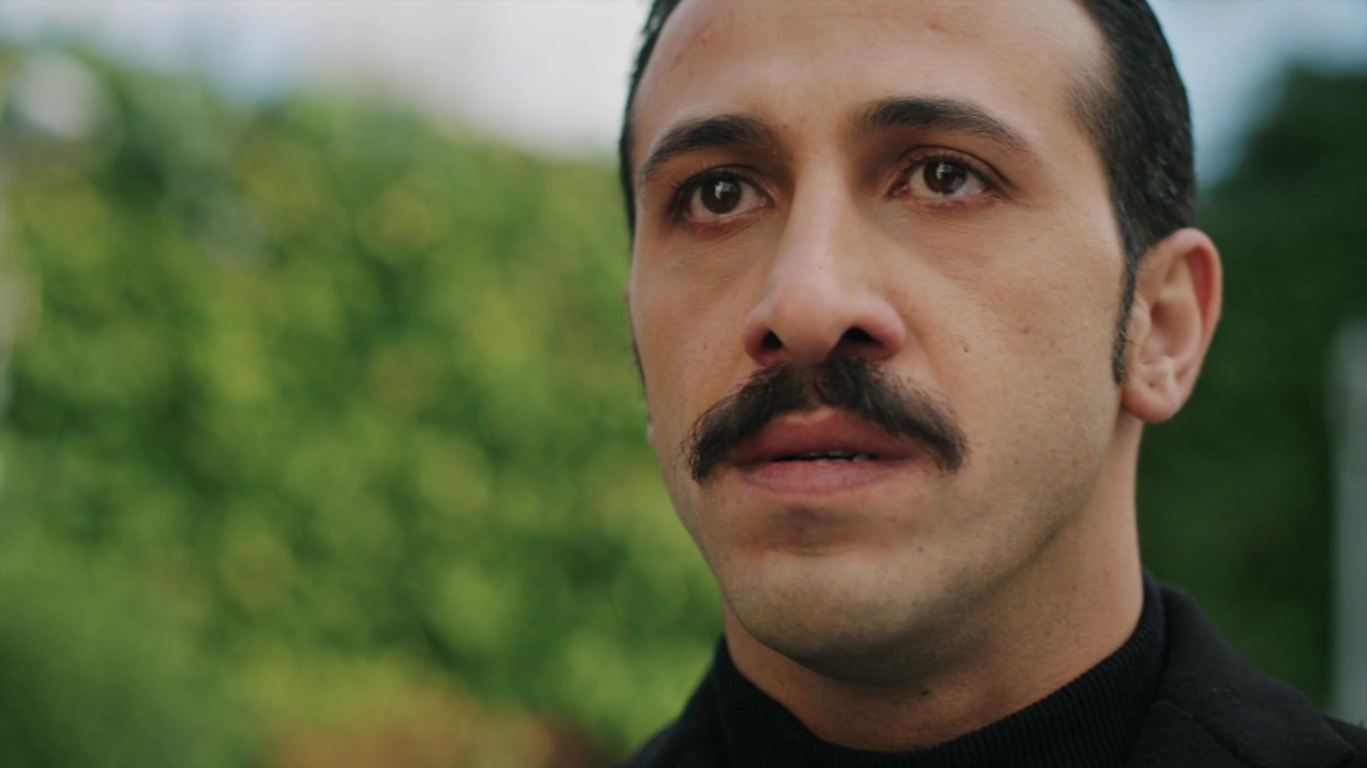 Зимородок 1 сезон 47 серия