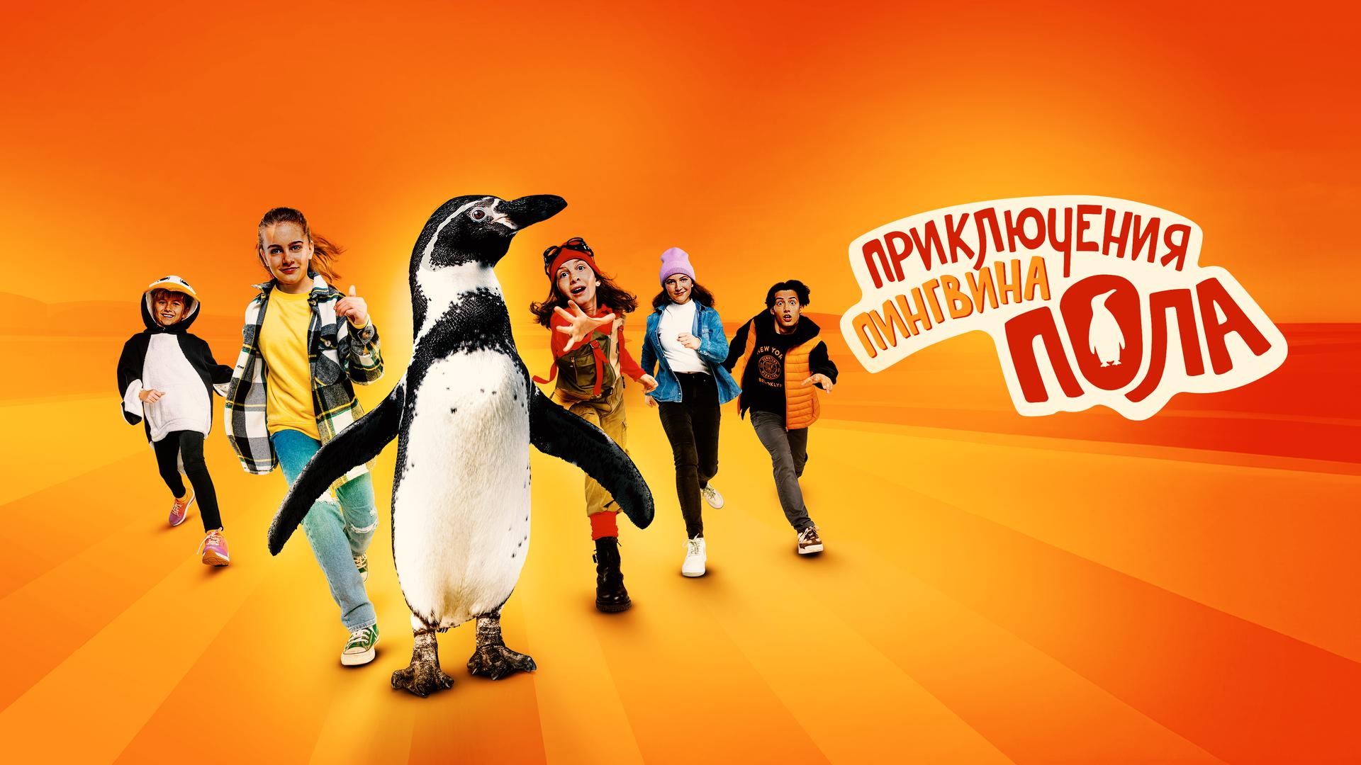 Приключения пингвина Пола