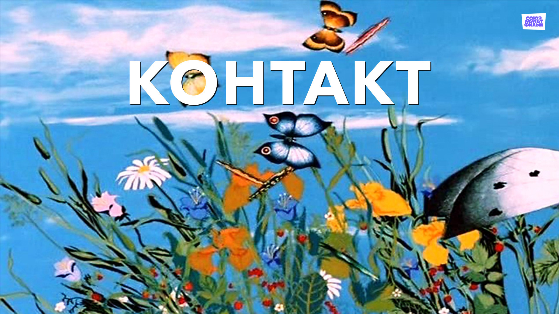 постер фильма Контакт